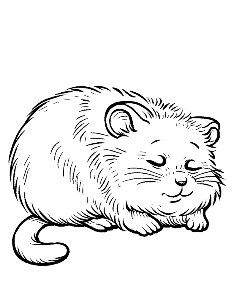 Desenho para colorir de hamster